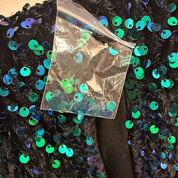 Keep it Regal Green Iridescent Sequin Velvet Dress - Picture 16 of 16